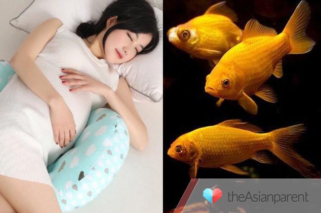 Bà bầu mơ thấy bắt cá