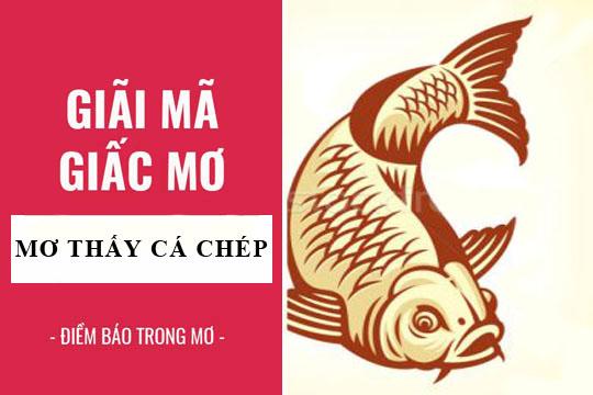 Bà bầu mơ thấy cá chép