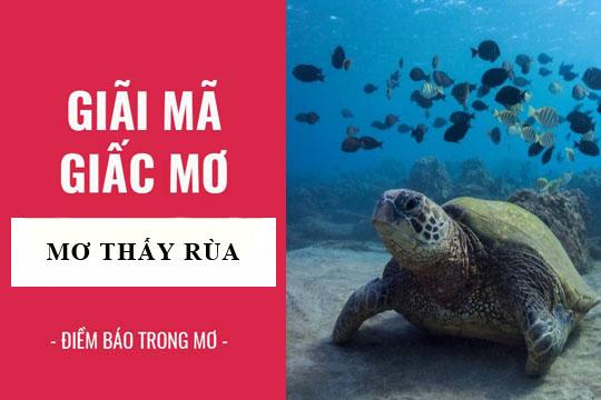 Nằm Mơ Thấy Gà Vào Nhà Đánh Con Gì? Giải Mã Chi Tiết