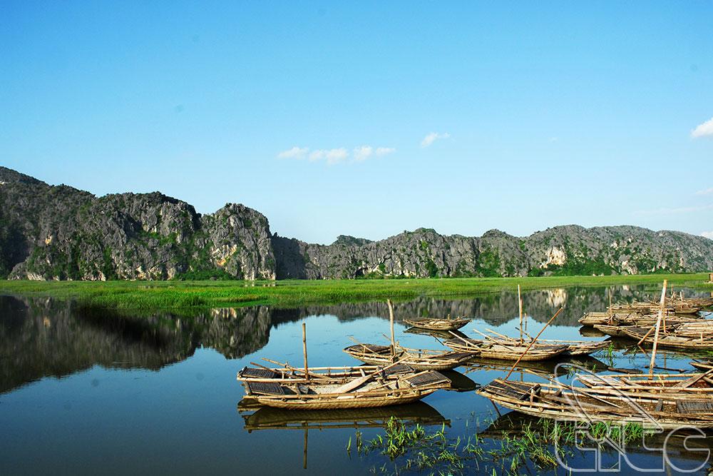 Nằm Mơ Thấy Bắt Cá Đen Đánh Con Gì?