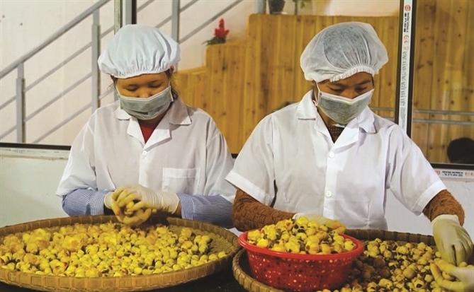 Bà Bầu Nằm Mơ Thấy Bế Bé Trai: Giải Mã Số Đề