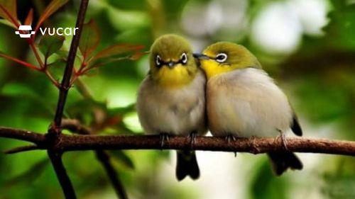 Nằm Mơ Thấy Câu Được Cá To: Điềm Báo Gì Về Số Đề?