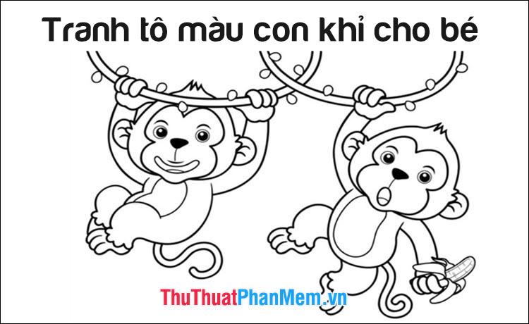 Bầy khỉ con đáng yêu