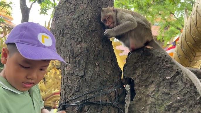 Ngủ Hay Nằm Mơ: Giải Mã Bí Ẩn Và Con Số May Mắn