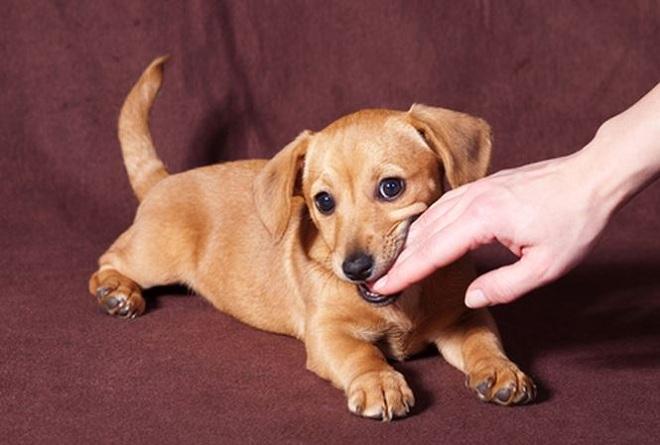 Nằm Mơ Thấy Gì Nên Mua Vé Số? Giải Mã Bí Ẩn