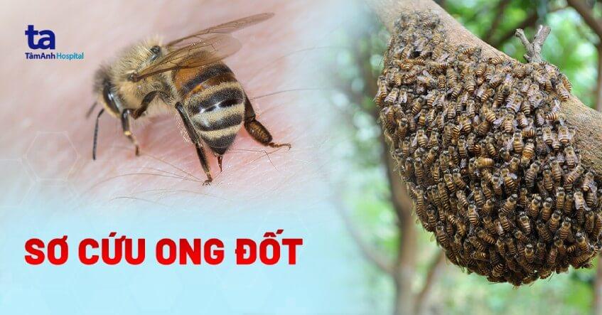 Giải Mã Giấc Mơ Thấy Học Sinh Và Con Số May Mắn