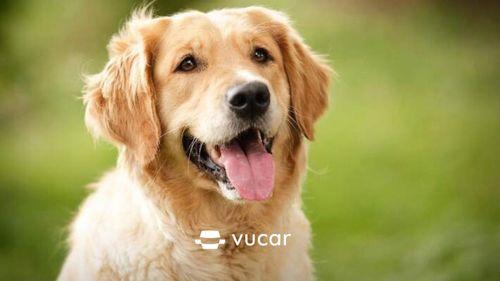 Ý nghĩa giấc mơ bị trói chân và con số đề