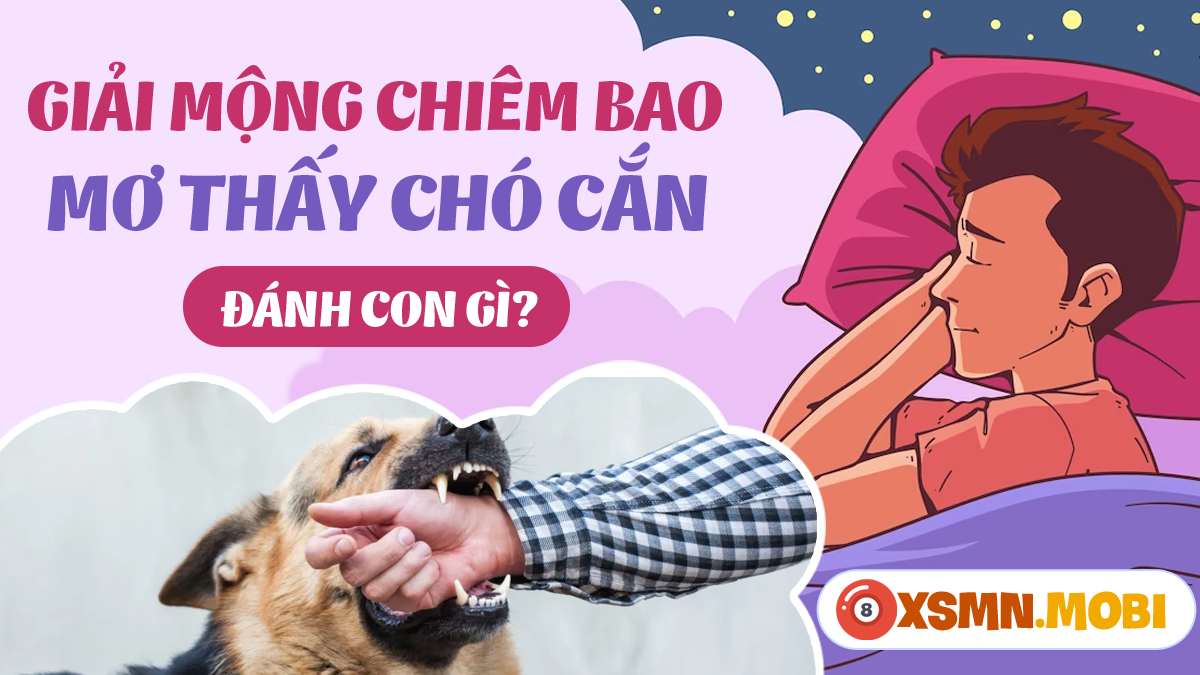 Giải Mã Giấc Mơ Thấy Con Giun Sán Và Những Con Số Liên Quan