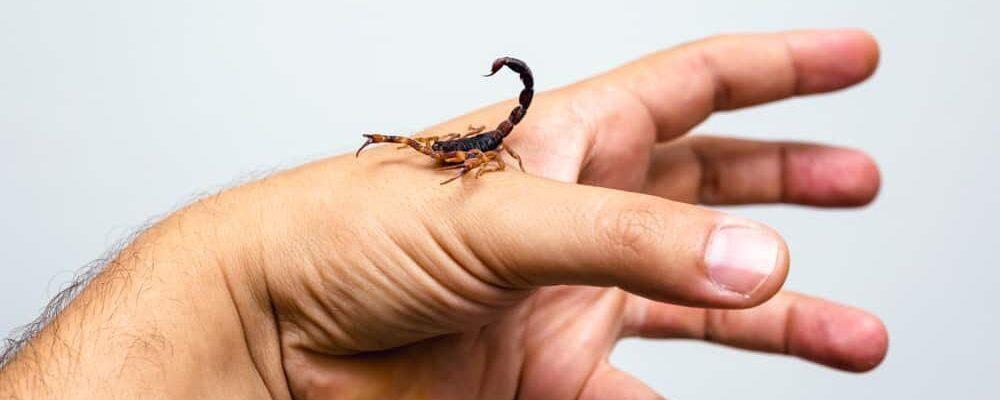 Giải Mã Giấc Mơ Thấy Mình Giết Con Nít Và Số Đề Liên Quan