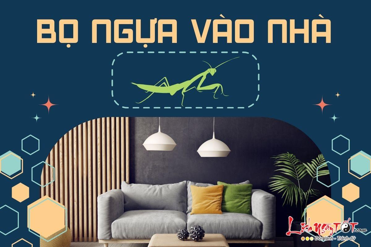 Nằm Mơ Thấy Câu Được Cá To: Điềm Báo Gì Về Số Đề?