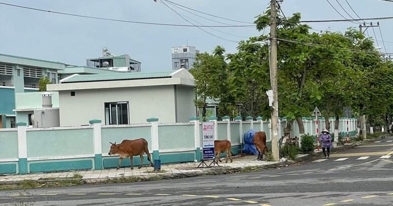 Giải Mã Giấc Mơ Thấy Vào Bệnh Viện Và Con Số May Mắn