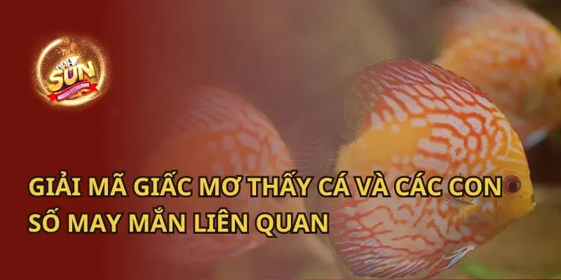 Giải Mã Giấc Mơ Thấy Của Đỉnh: Điềm Báo & Con Số May Mắn