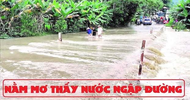 Nằm Mơ Thấy Cá Đánh Con Gì? Giải Mã Chi Tiết