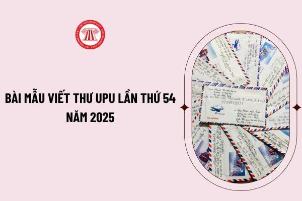 Giải Mã Giấc Mơ Câu Cá Trê Và Những Con Số May Mắn