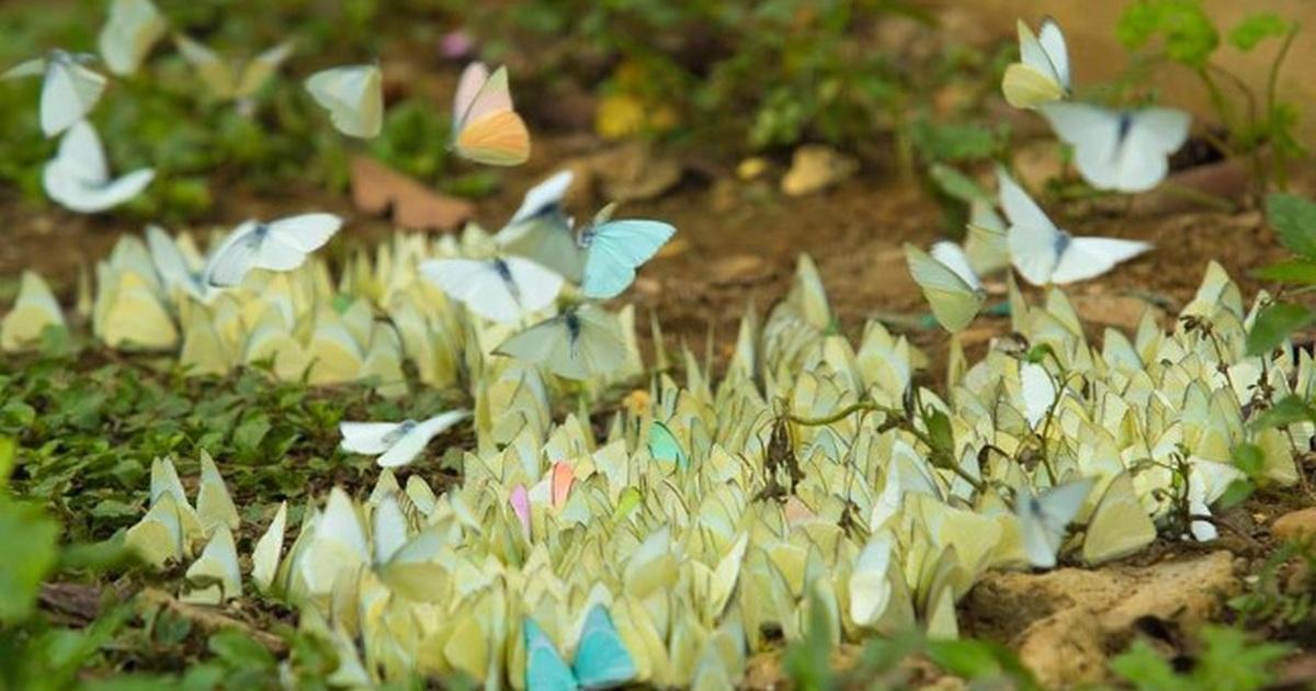 Giải Mã Giấc Mơ Thấy Bà Ngoại Và Những Con Số May Mắn