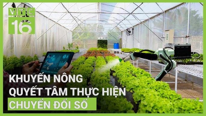 Giải Mã Giấc Mơ Thấy Mèo Quào: Điềm Báo Gì Về Số Đề?