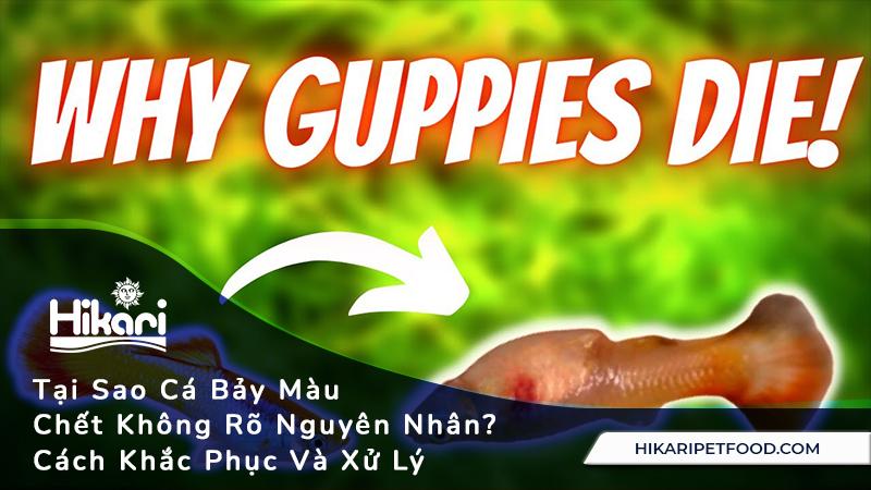 Nằm Mơ Thấy Dòng Sông Đánh Con Gì?