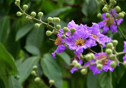 Nằm Mơ Thấy Hồn Người Chết Đánh Số Gì?