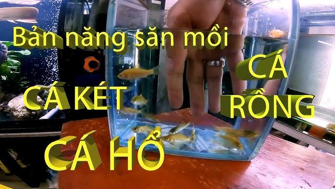 Giải Mã Giấc Mơ Thấy Đi Thắp Hương Cho Người Chết
