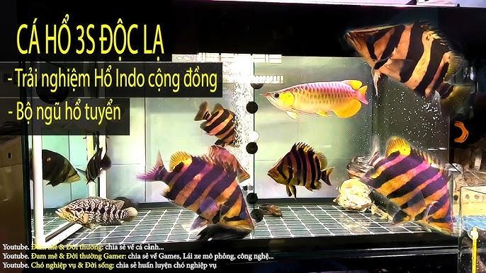 Giải Mã Giấc Mơ Thấy Đi Thắp Hương Cho Người Chết