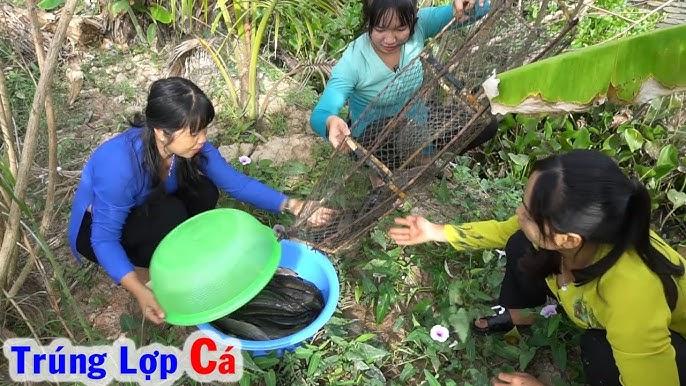 Giải Mã Giấc Mơ Thấy Ret: Điềm Báo Gì Về Số Đề?