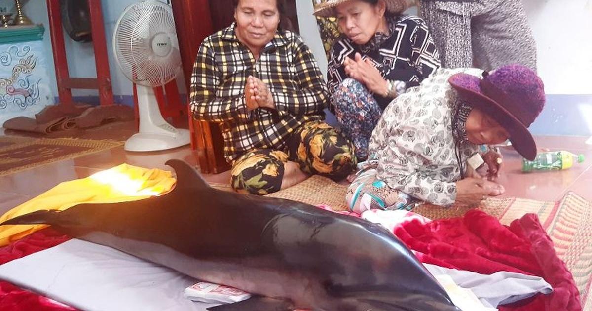 Nằm Mơ Cắn Vào Lưỡi Đánh Đề Con Gì?