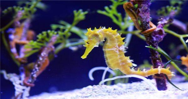 Giải Mã Giấc Mơ Thấy Bị Đánh: Điềm Báo Hay Con Số May Mắn?