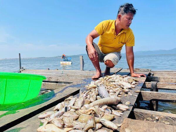 Giải Mã Giấc Mơ Thấy Ngựa Giao Phối và Số Đề Liên Quan