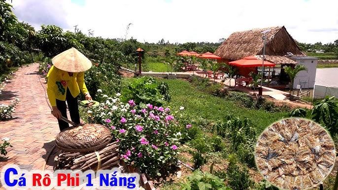 Nằm Mơ Thấy Cây Cổ Thụ Đánh Số Mấy?