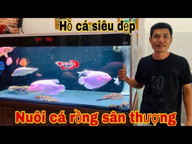 Giải Mã Giấc Mơ Mình: Điềm Báo Và Con Số May Mắn