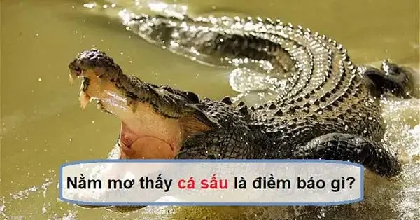 Nằm Mơ Thấy Gãy Răng Đánh Số Gì?