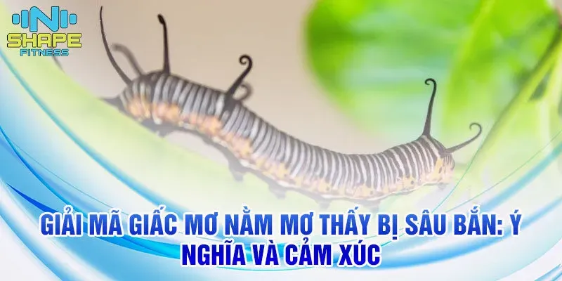 Giải Mã Giấc Mơ Thấy Bà Ngoại Đã Mất Còn Sống