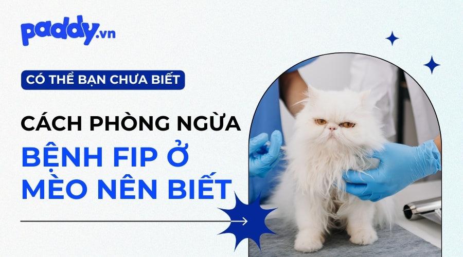 Giải Mã Giấc Mơ Thấy Dép Và Những Con Số Liên Quan