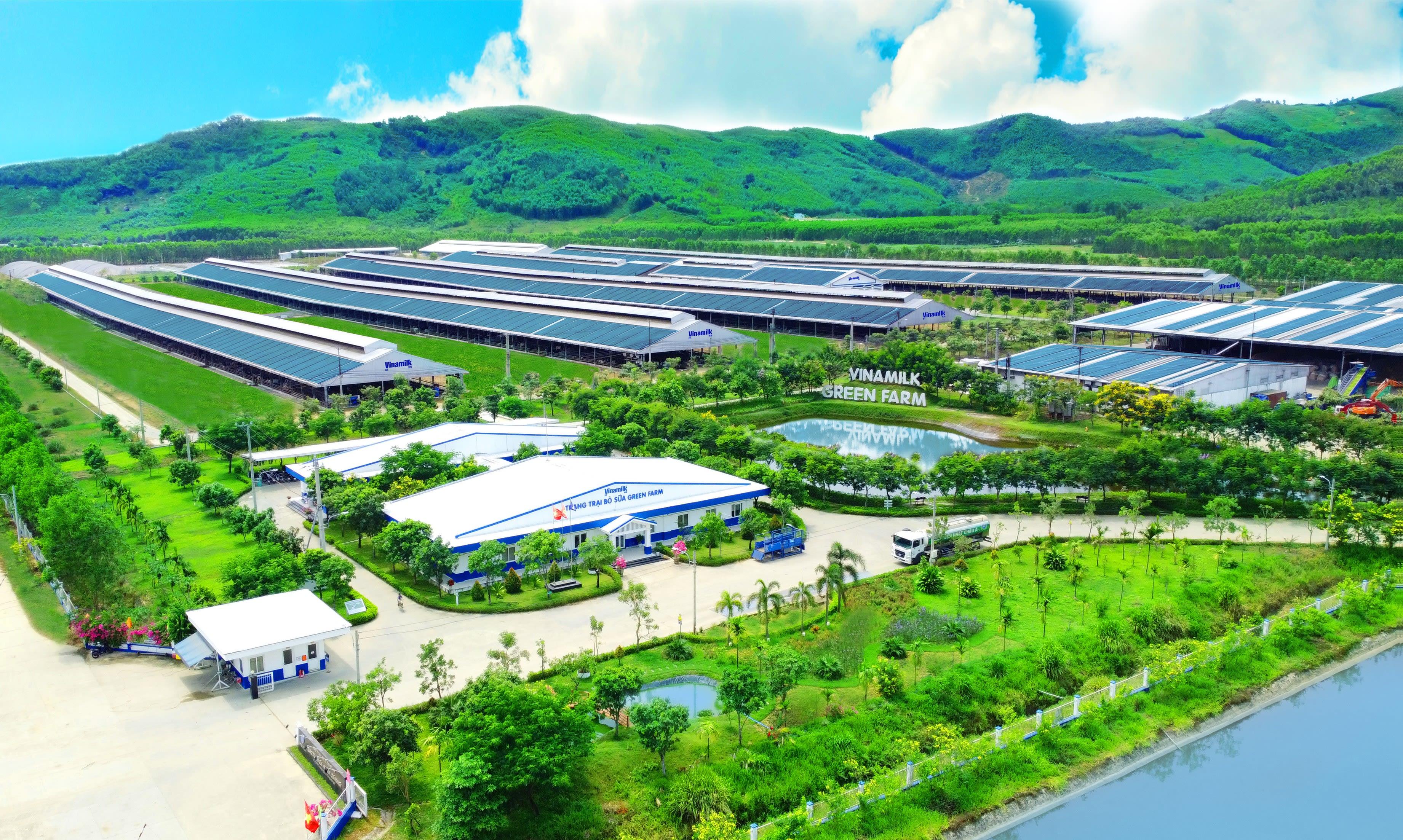 Các loại trà sữa khác nhau trong mơ và con số tương ứng