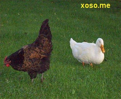 Cảm nhận giấc mơ và lựa chọn con số may mắn