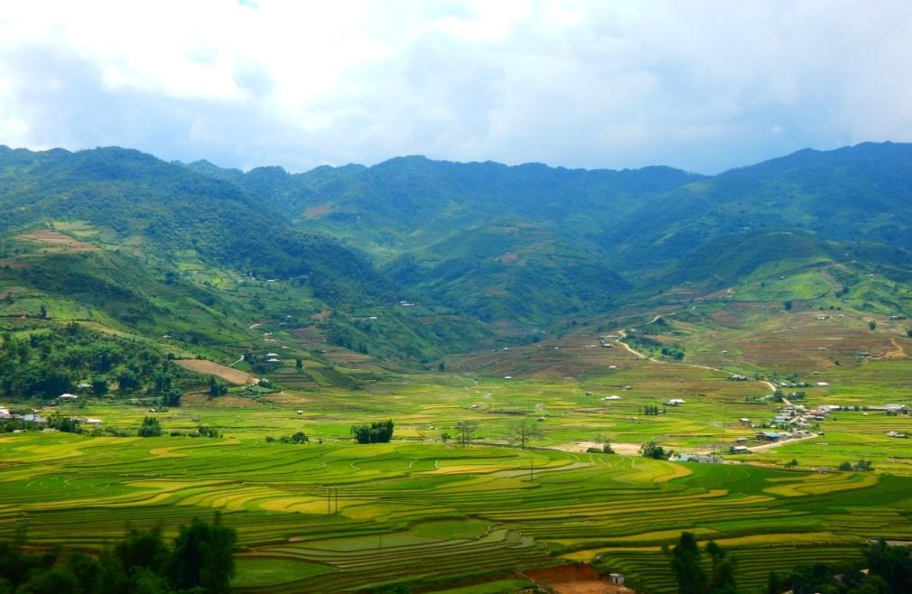 Giải Mã Giấc Mơ Thấy Mua Xe Máy Cũ