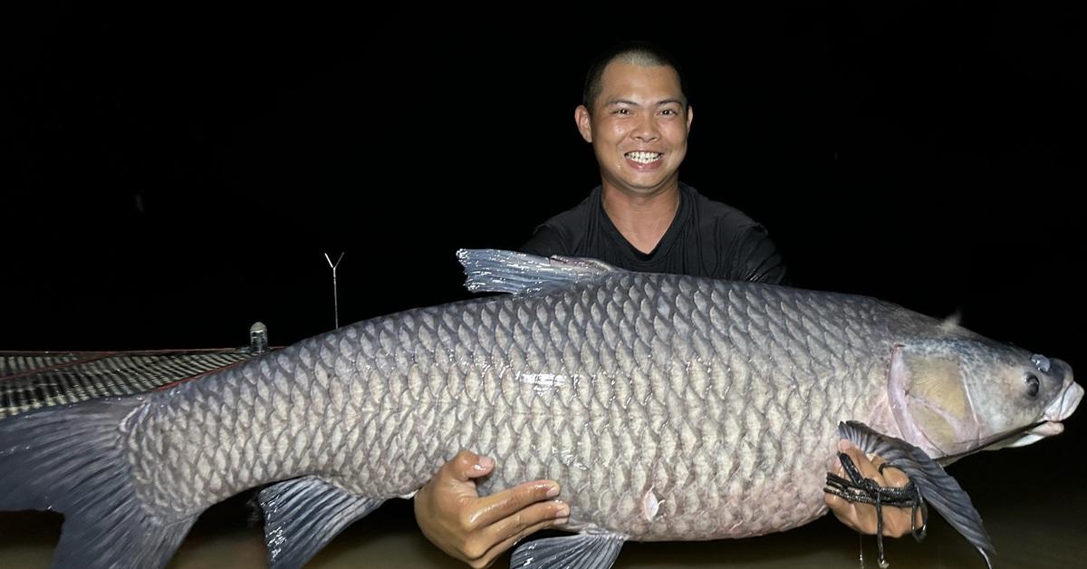 Câu Cá Trắm Đen Lớn