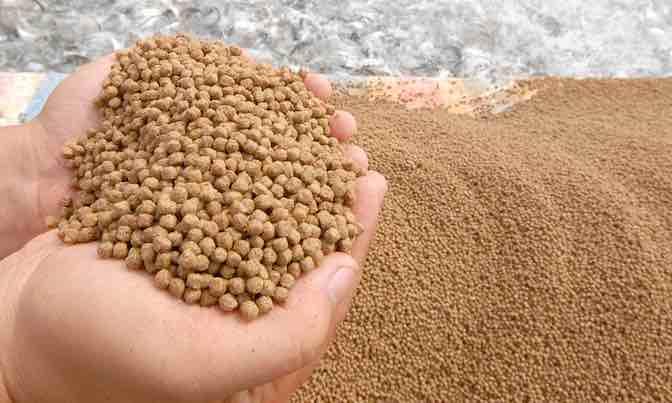 Câu được 3 con cá trắm số đề là gì?