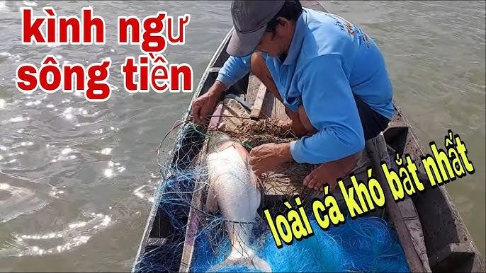 Nằm Mơ Thấy Có Bầu: Hẹn Hay Xui, Giải Mã Số Đề
