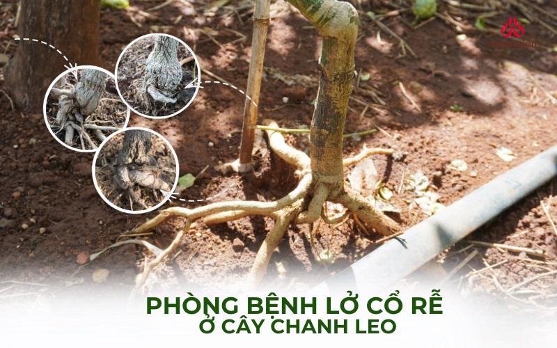 Nằm Mơ Thấy Được Người Khác Giúp Đỡ: Giải Mã Số Đề