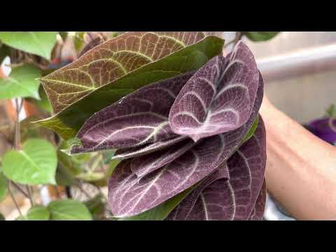 Giải Mã Giấc Mơ Thấy Em Be Đang Ngủ Và Những Con Số Liên Quan