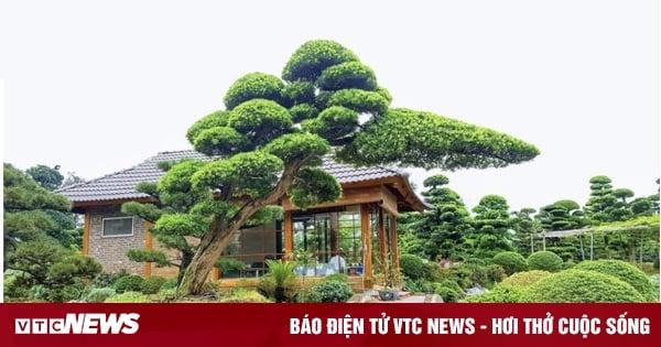 Giải Mã Giấc Mơ Thấy Mình Bệnh Chết và Số Đề Liên Quan
