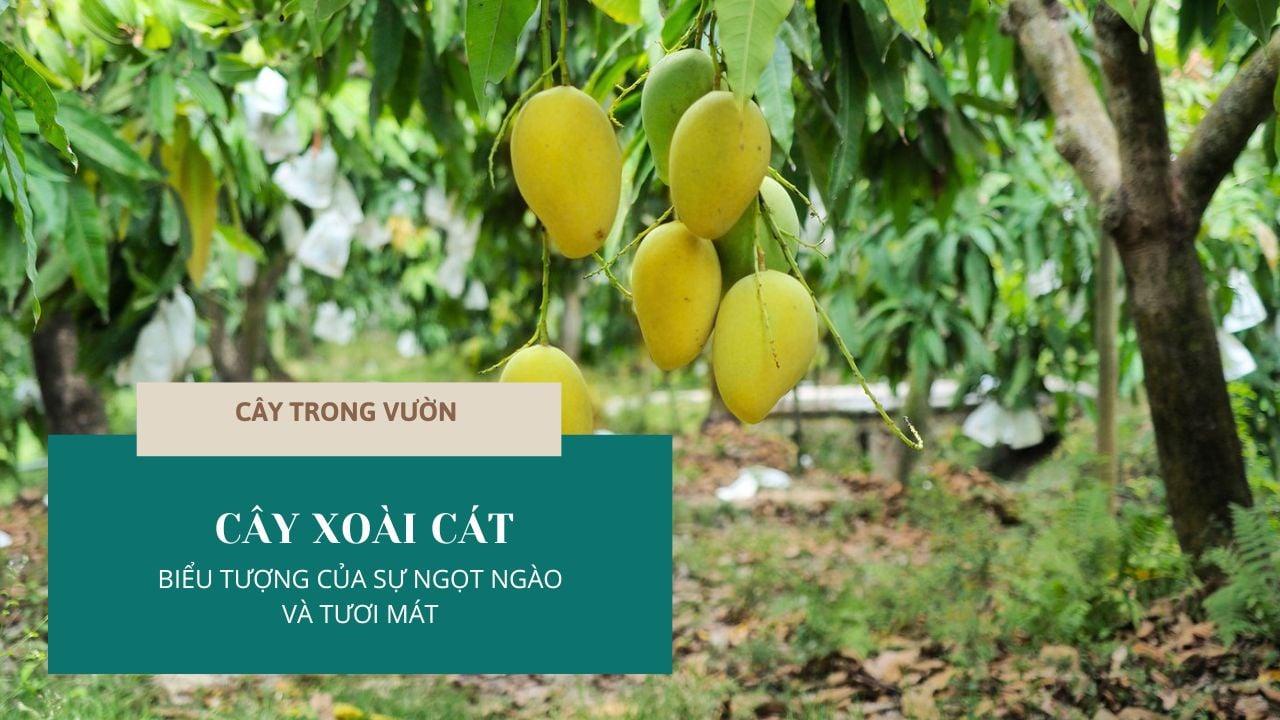 Nằm Mơ Thấy Chìm Ghe Đánh Số May