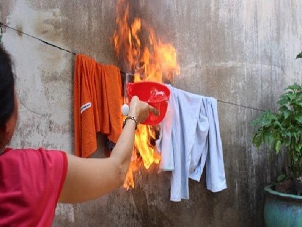 Nằm mơ thấy chó màu trắng là điềm gì? Giải mã giấc mơ và số đề