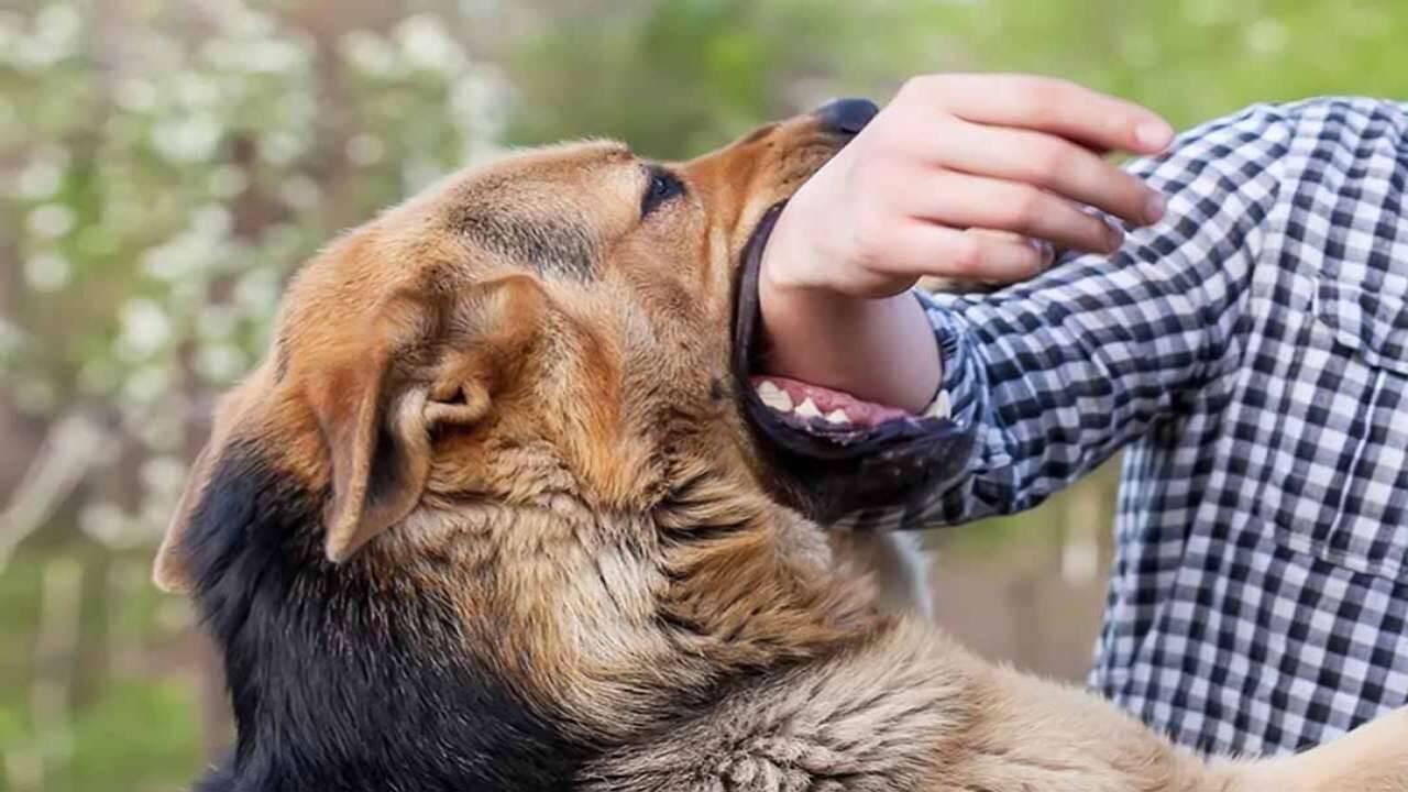Nằm Mơ Thấy Bạn Thân Đánh Con Gì?