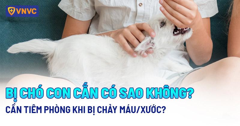 Giải Mã Giấc Mơ Thấy Cá Và Chó: Điềm Báo Gì Về Số Đề?