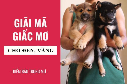 Giải Mã Giấc Mơ Đêm Nằm Mơ Phố Thùy Chi