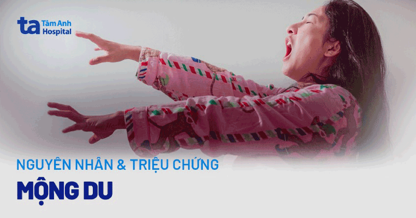 Giải Mã Giấc Mơ Thấy Bò Sát và Số Đề Liên Quan