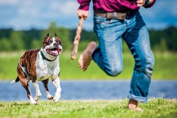 Giải Mã Giấc Mơ Thấy Mình Rơi Xuống Nước Và Số Đề