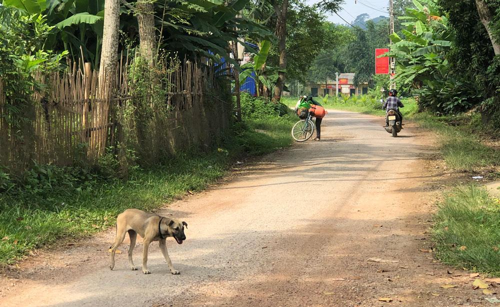 Giải Mã Giấc Mơ Mình: Điềm Báo Và Con Số May Mắn